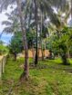 අගනා ඉඩමක් සමග නිවස විකිණීමට
