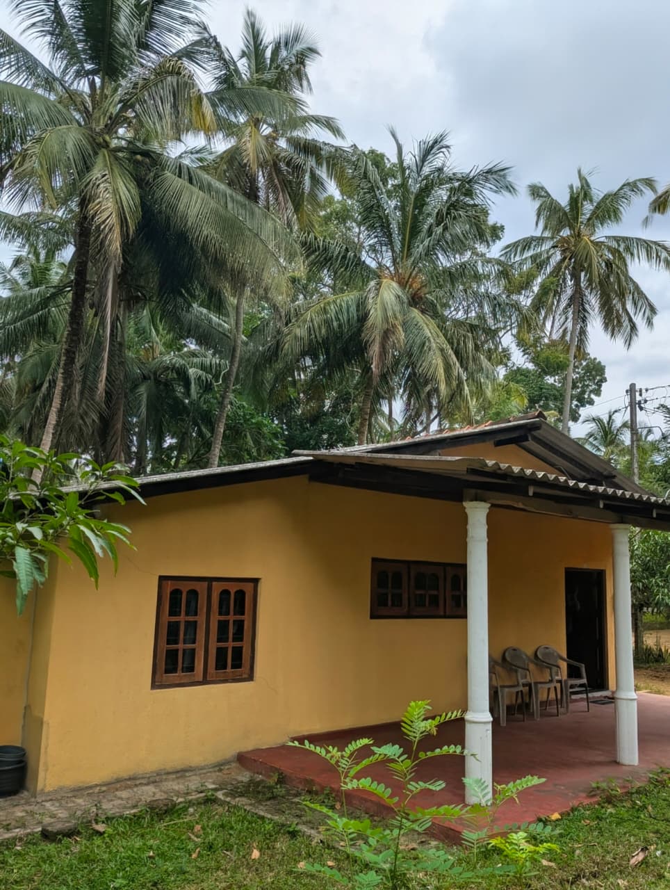 අගනා ඉඩමක් සමග නිවස විකිණීමට