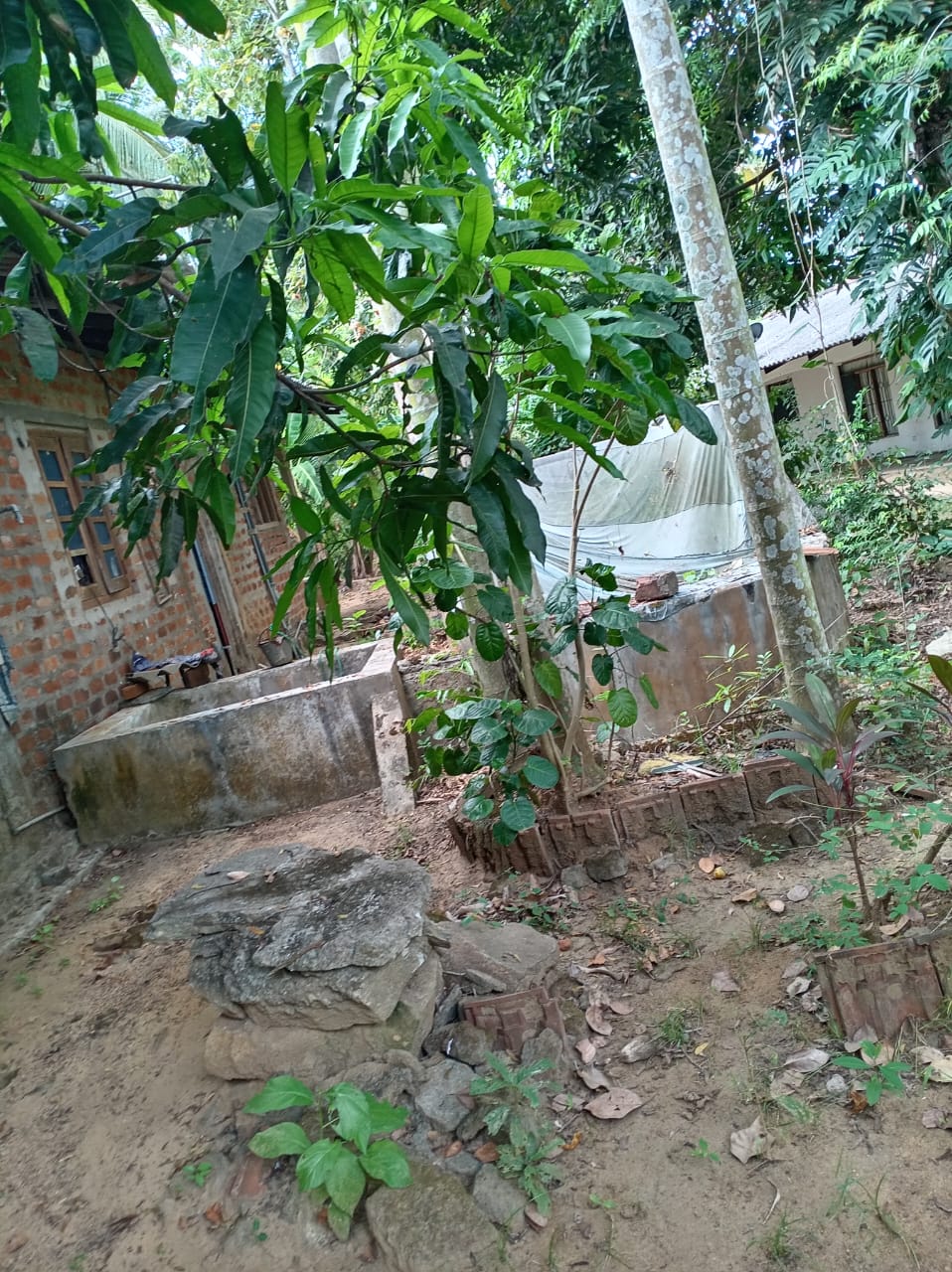 පොළොන්නරැව Land with House Sale
