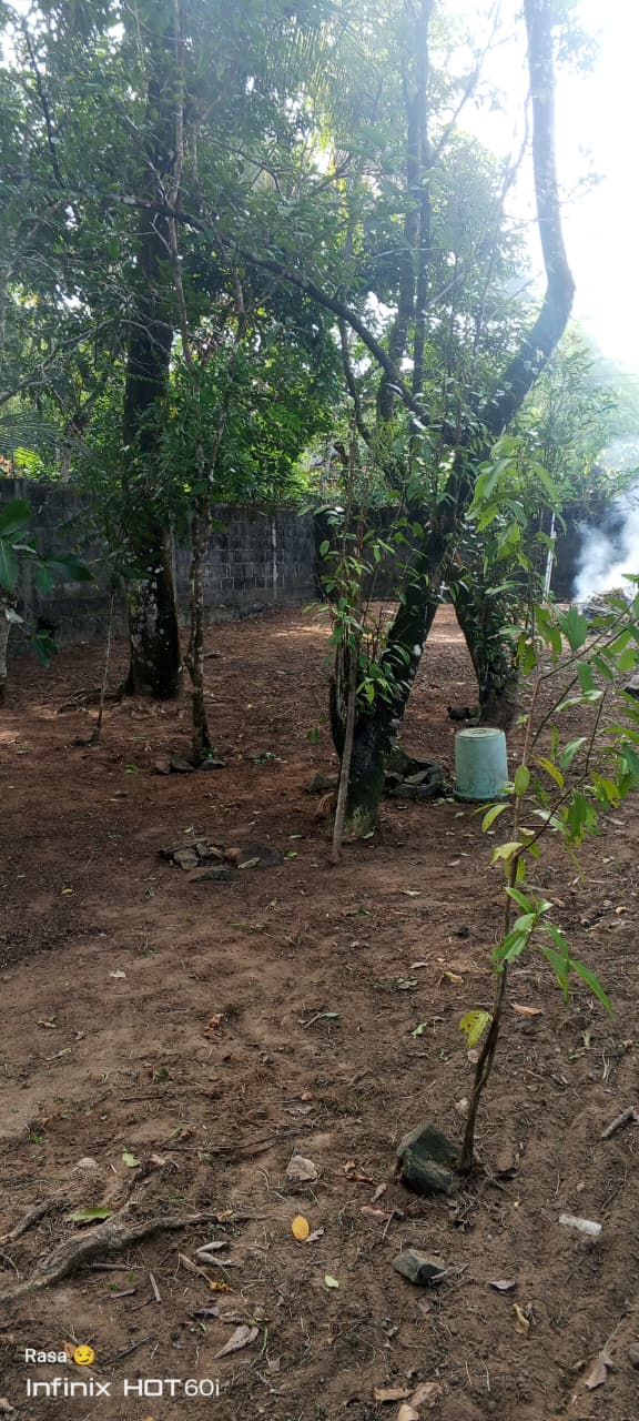 හරි හතරැස් ඉඩමක් විකිණීමට පොකුණුවිට