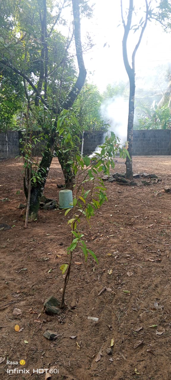 හරි හතරැස් ඉඩමක් විකිණීමට පොකුණුවිට