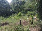 Land For Sale ගුරුගම
