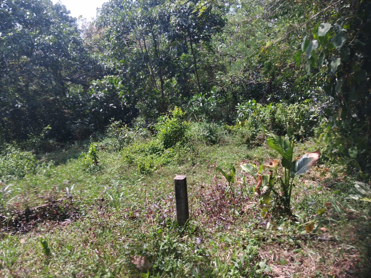 Land For Sale ගුරුගම