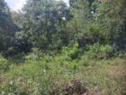 Land For Sale ගුරුගම