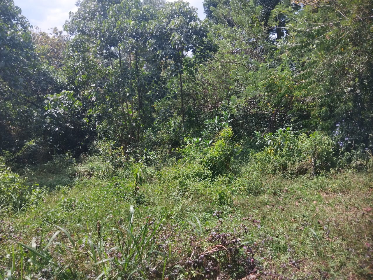 Land For Sale ගුරුගම