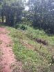 Land For Sale ගුරුගම
