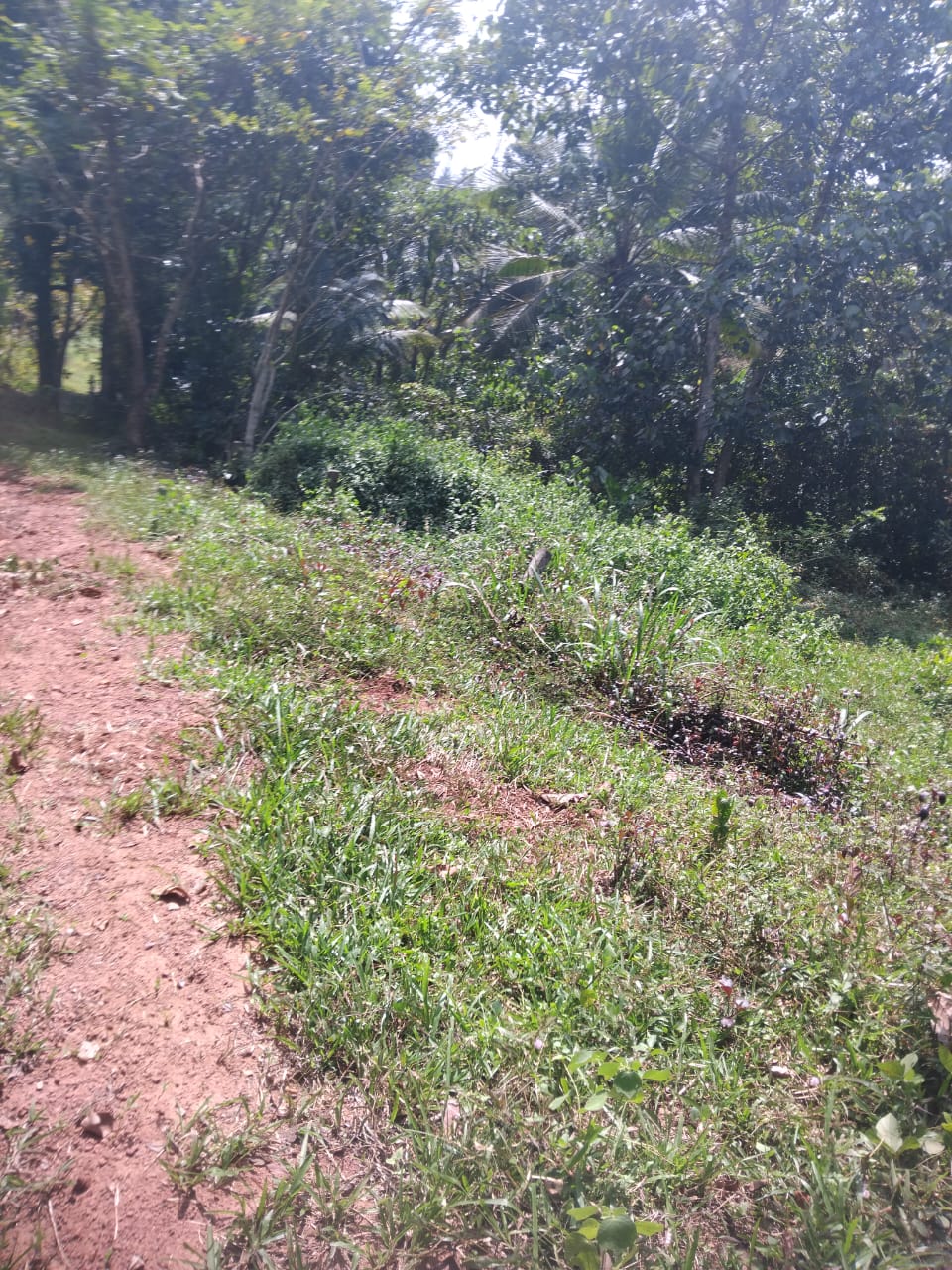 Land For Sale ගුරුගම