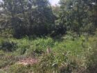 Land For Sale ගුරුගම