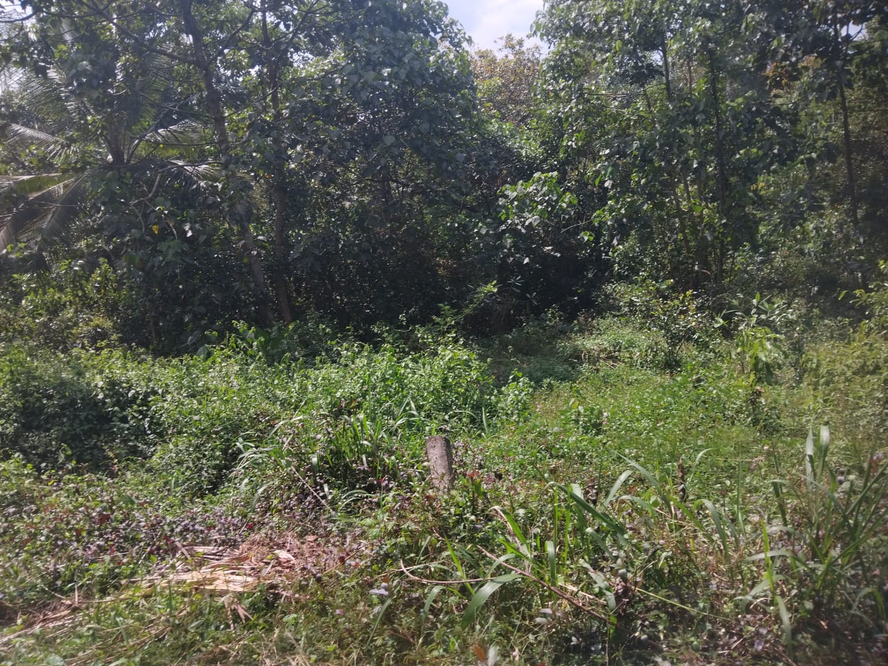 Land For Sale ගුරුගම