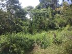 Land For Sale ගුරුගම