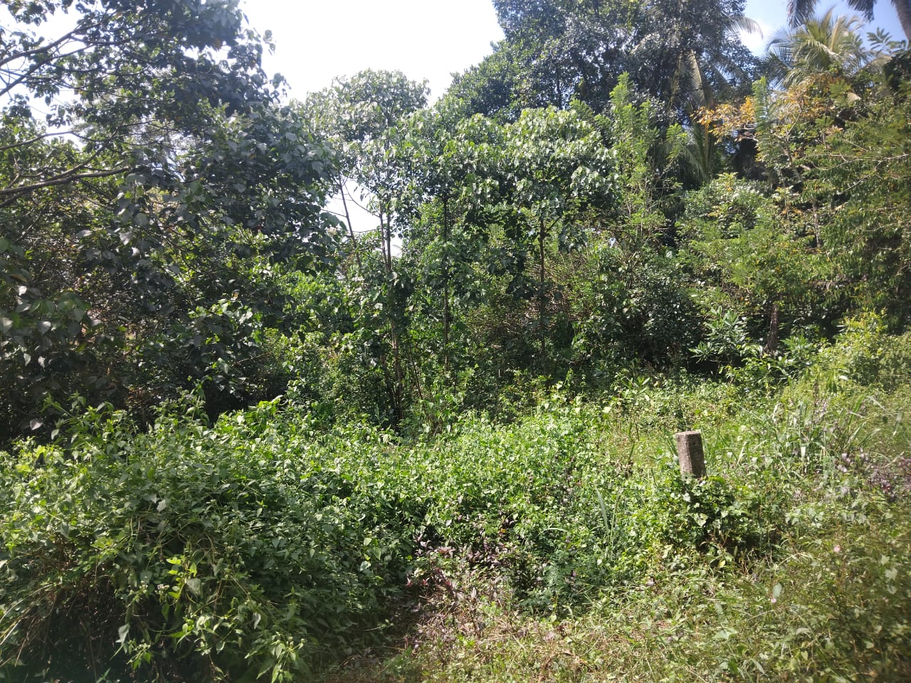 Land For Sale ගුරුගම