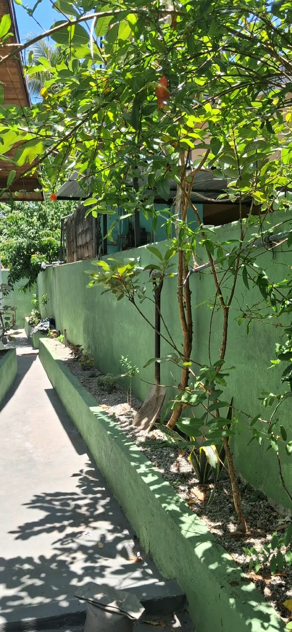 House for Sale with 20-Foot-wide road