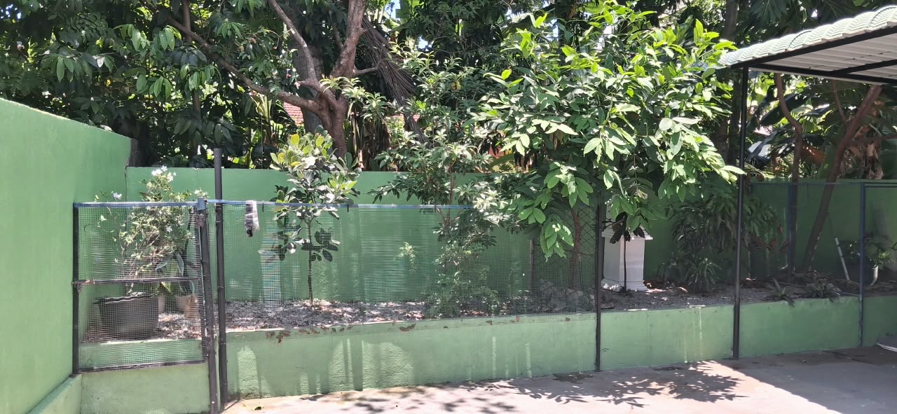 House for Sale with 20-Foot-wide road
