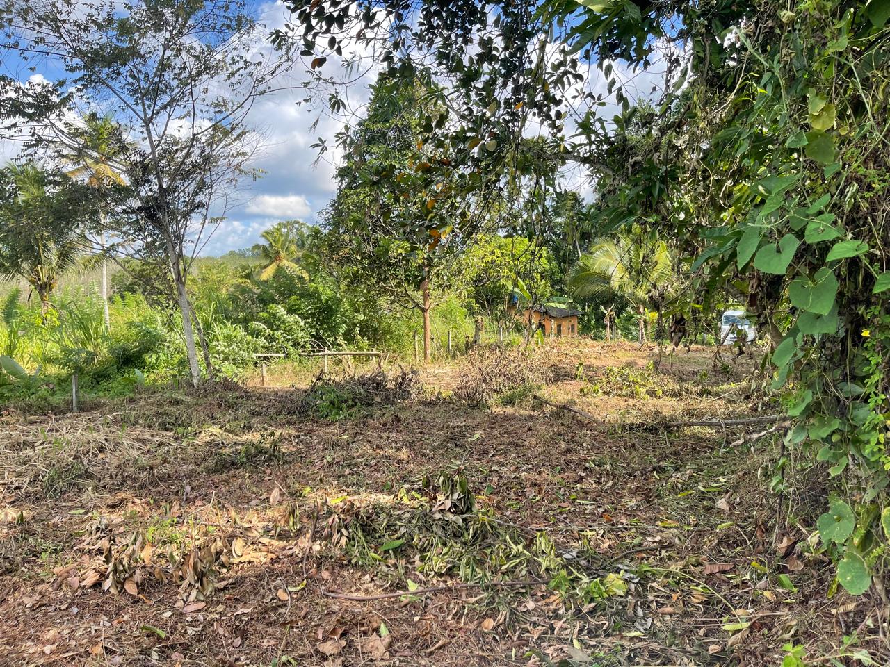 පාදුක්ක නගරයට නුදුරින් අනර්ඝ ඉඩමක්