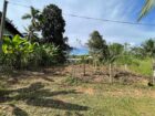 පාදුක්ක නගරයට නුදුරින් අනර්ඝ ඉඩමක්