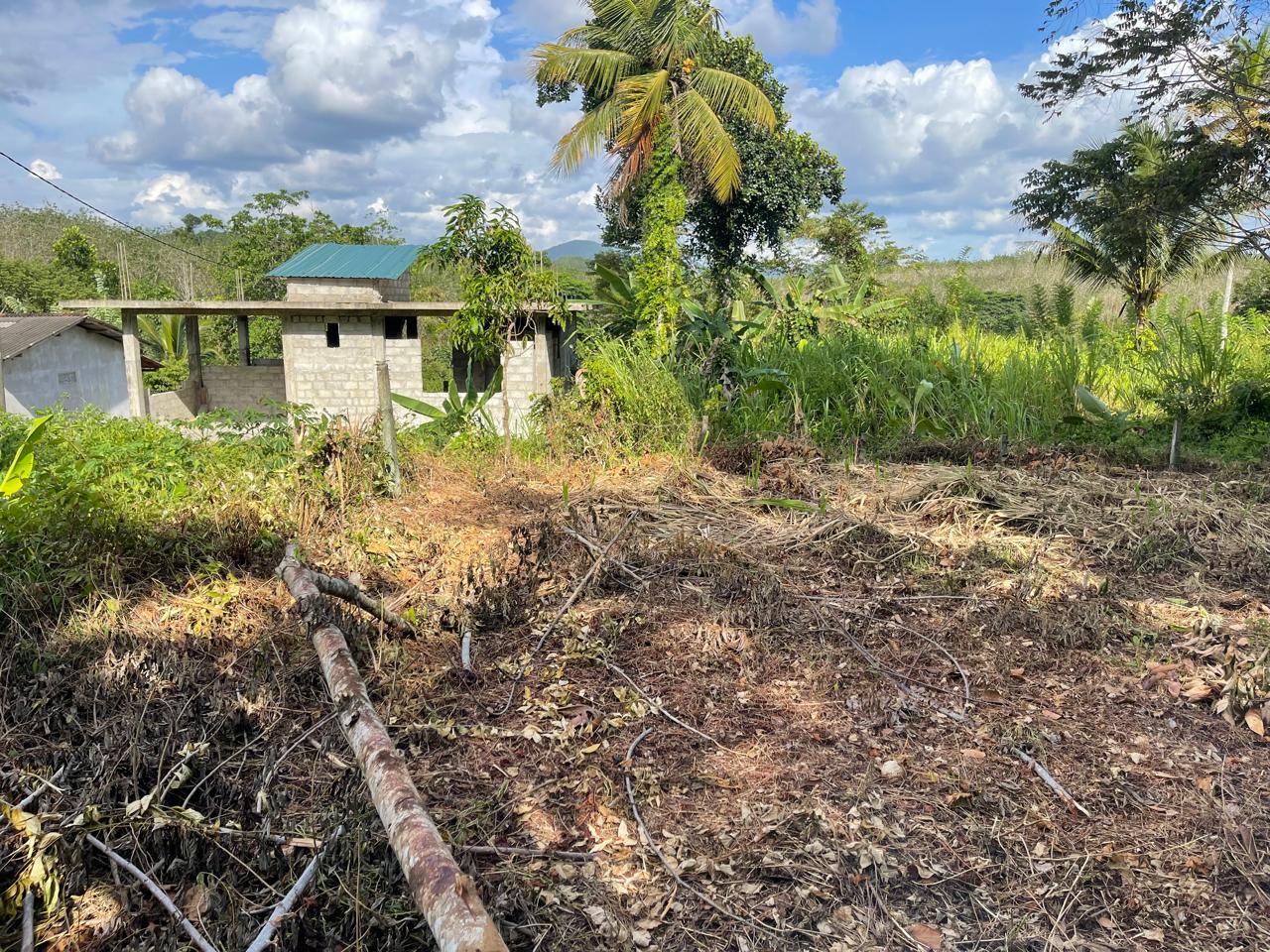 පාදුක්ක නගරයට නුදුරින් අනර්ඝ ඉඩමක්