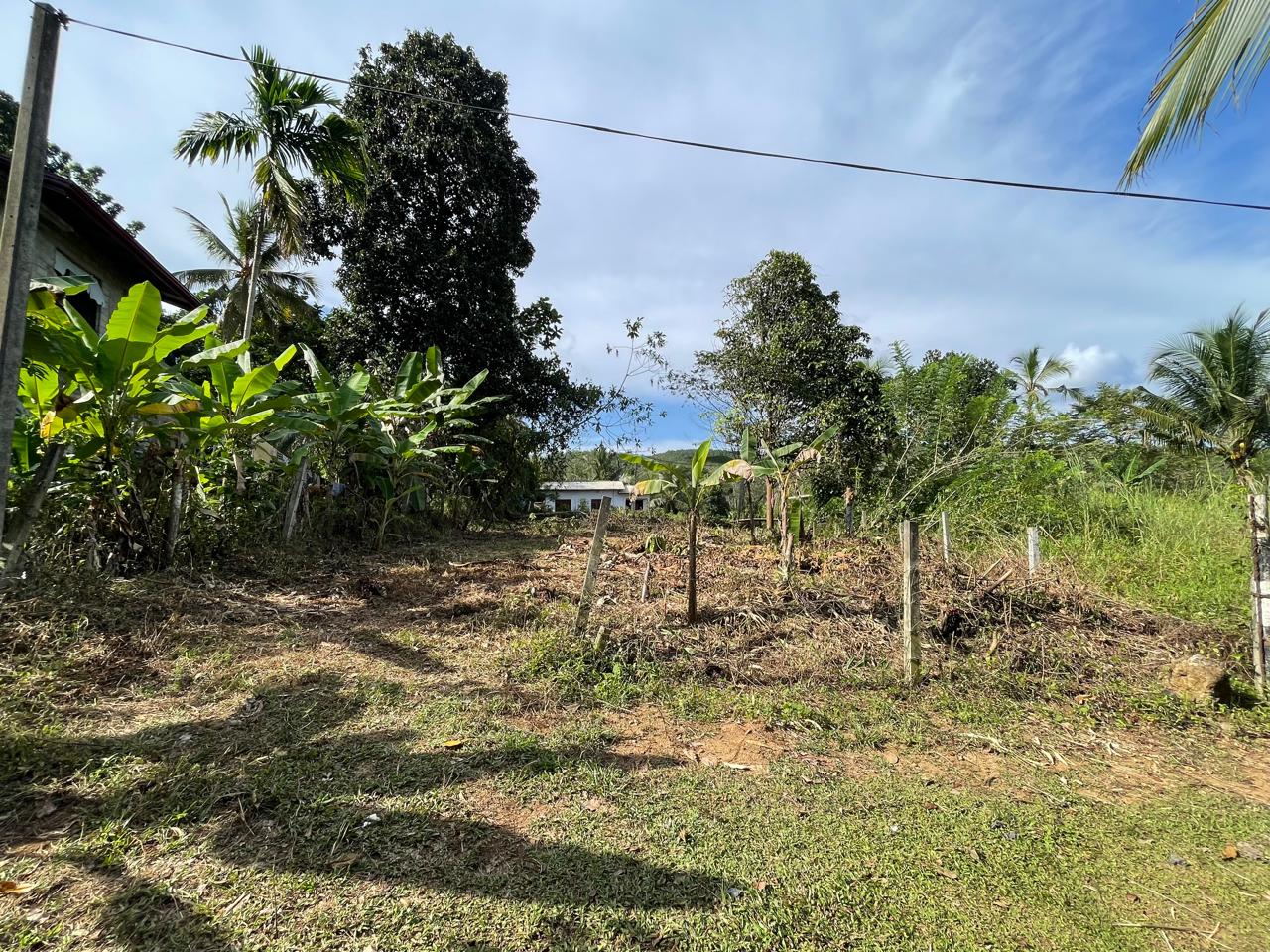 පාදුක්ක නගරයට නුදුරින් අනර්ඝ ඉඩමක්