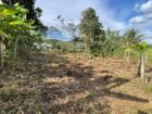 පාදුක්ක නගරයට නුදුරින් අනර්ඝ ඉඩමක්