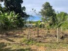 පාදුක්ක නගරයට නුදුරින් අනර්ඝ ඉඩමක්