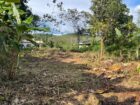 පාදුක්ක නගරයට නුදුරින් අනර්ඝ ඉඩමක්