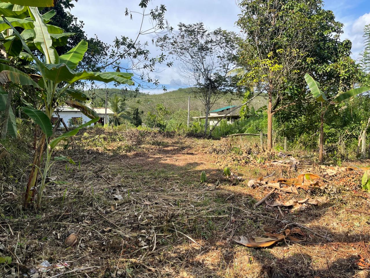 පාදුක්ක නගරයට නුදුරින් අනර්ඝ ඉඩමක්