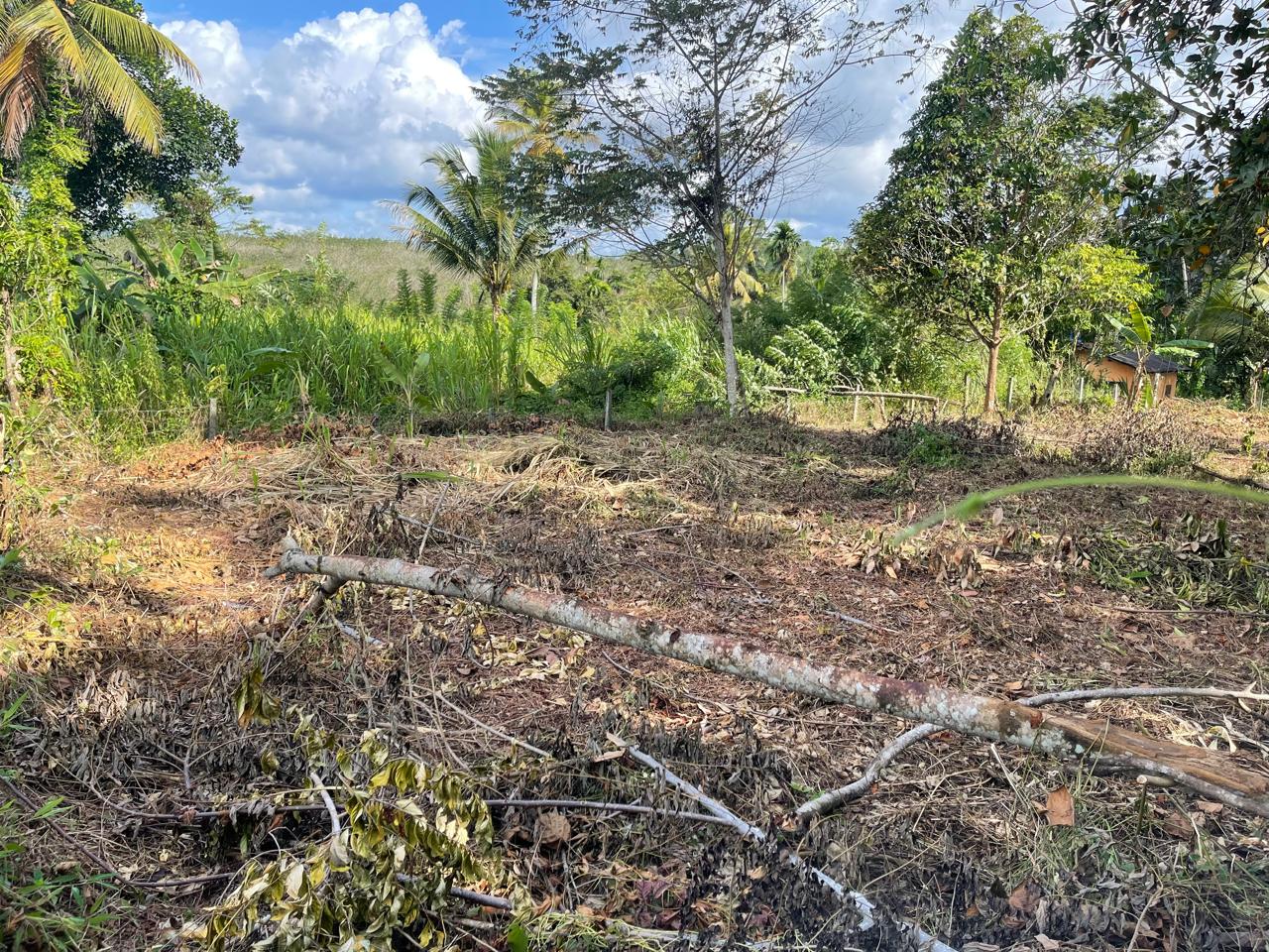 පාදුක්ක නගරයට නුදුරින් අනර්ඝ ඉඩමක්