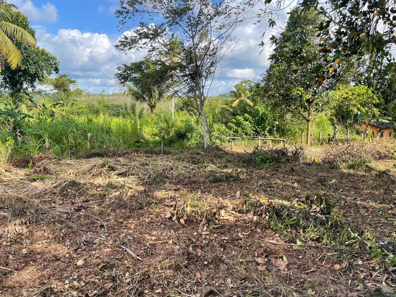 පාදුක්ක නගරයට නුදුරින් අනර්ඝ ඉඩමක්