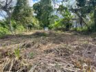 පාදුක්ක නගරයට නුදුරින් අනර්ඝ ඉඩමක්