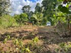 පාදුක්ක නගරයට නුදුරින් අනර්ඝ ඉඩමක්