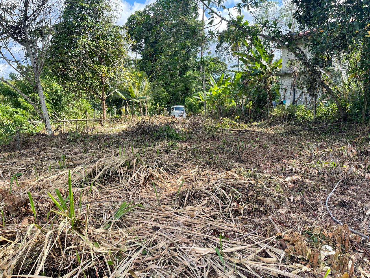පාදුක්ක නගරයට නුදුරින් අනර්ඝ ඉඩමක්