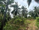 Land For Sale In Pitigala Elpitiya
