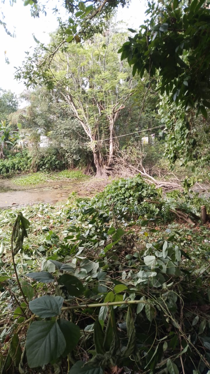 Land for Sale in Ratnapura