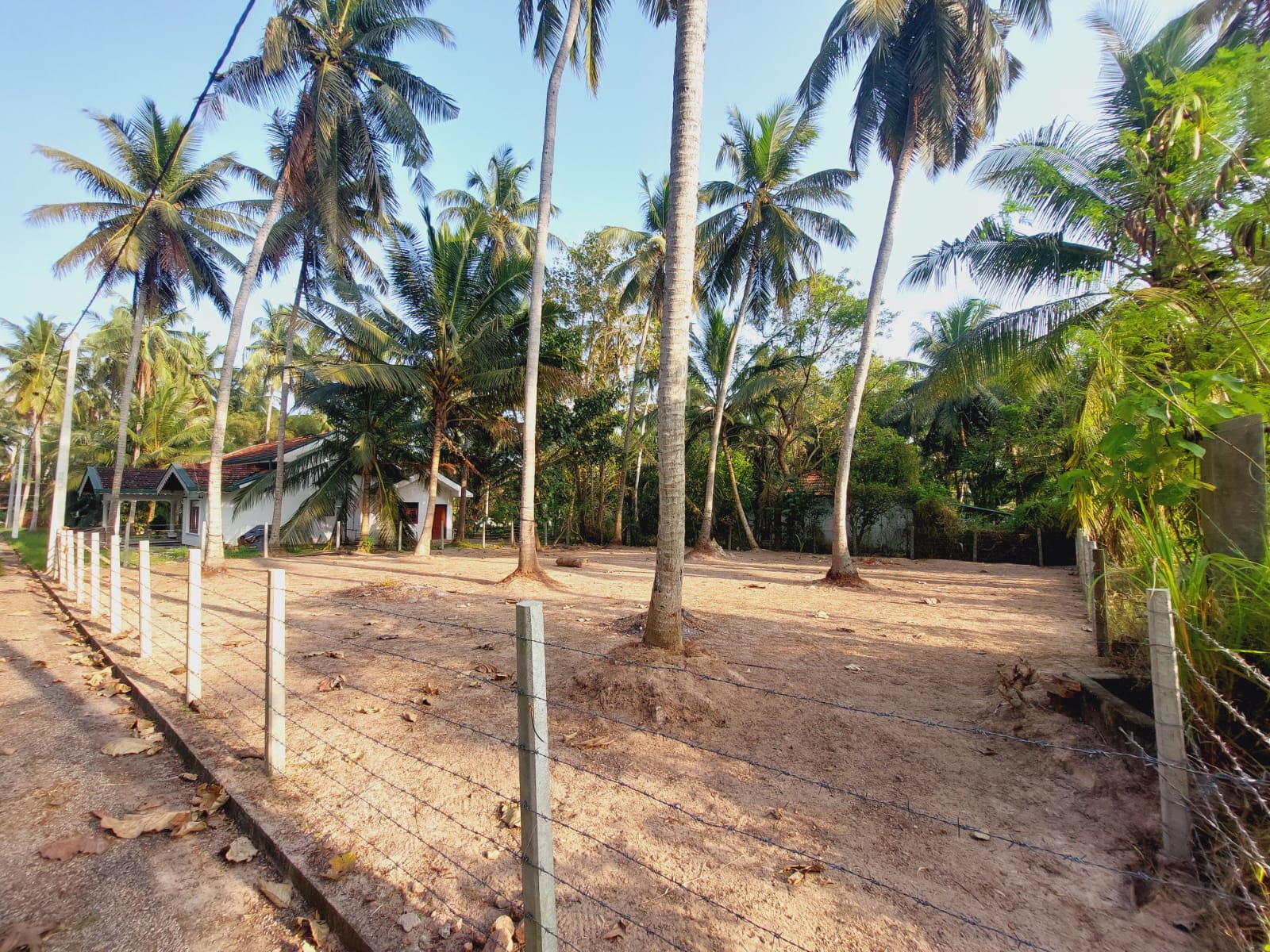 වෙන්නප්පුව , දංකොටුව නගර වලට නුදුරින් පර්චස් 20 ක මෙම ඉඩම විකිනීමට ඇත.