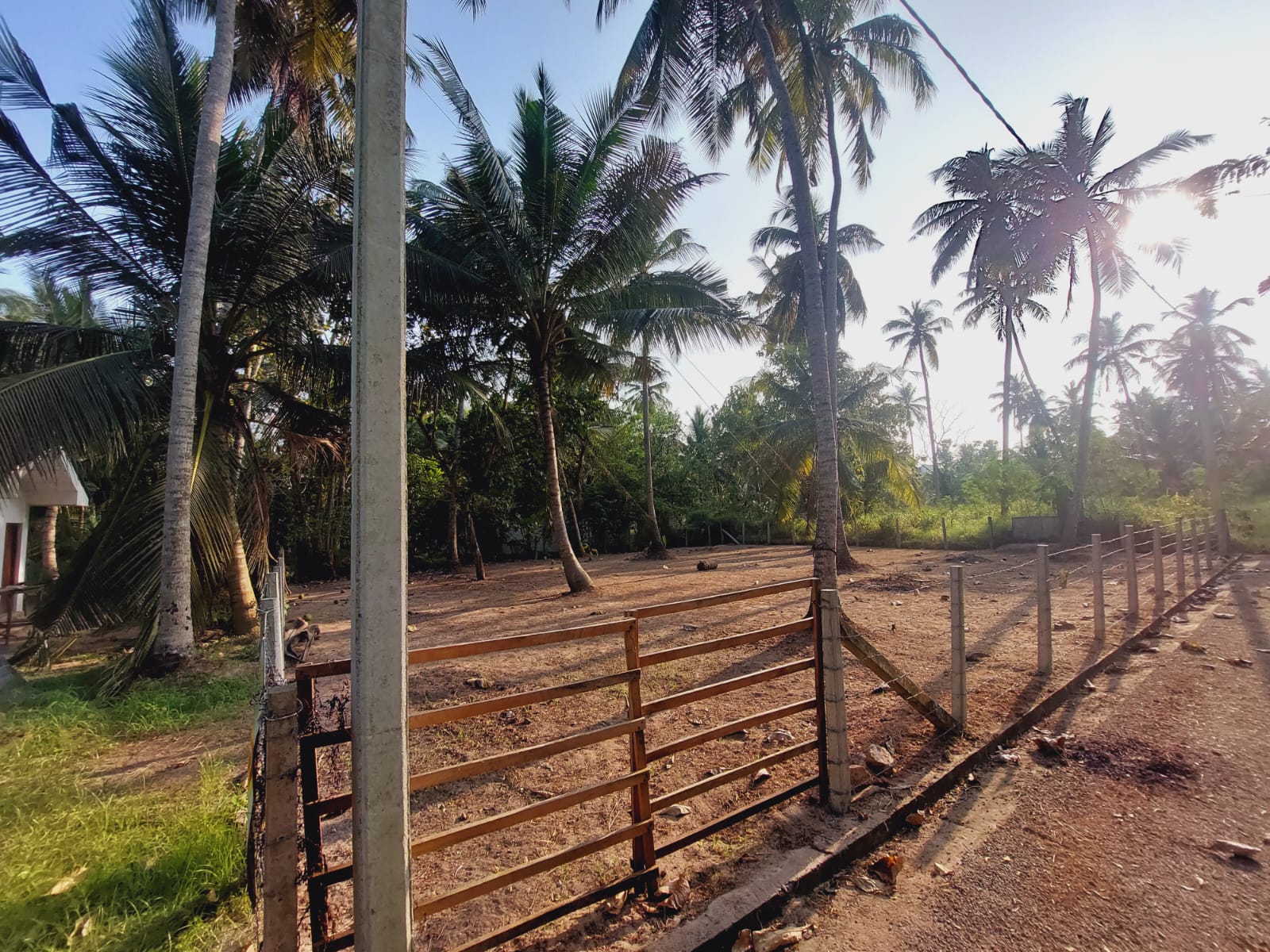 වෙන්නප්පුව , දංකොටුව නගර වලට නුදුරින් පර්චස් 20 ක මෙම ඉඩම විකිනීමට ඇත.