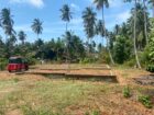 Land for Sale in Marawila
