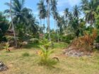 Land for Sale in Marawila