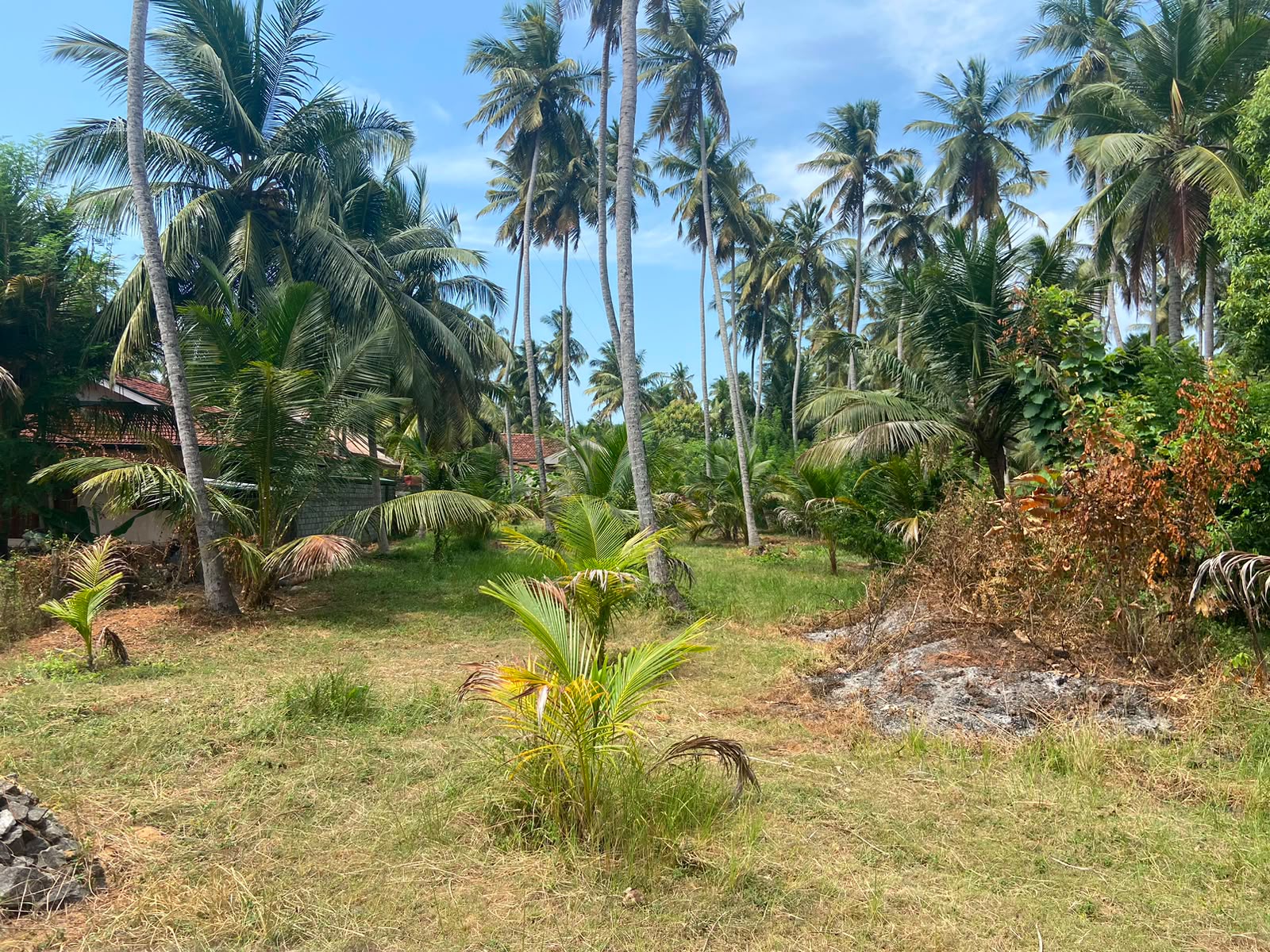 Land for Sale in Marawila