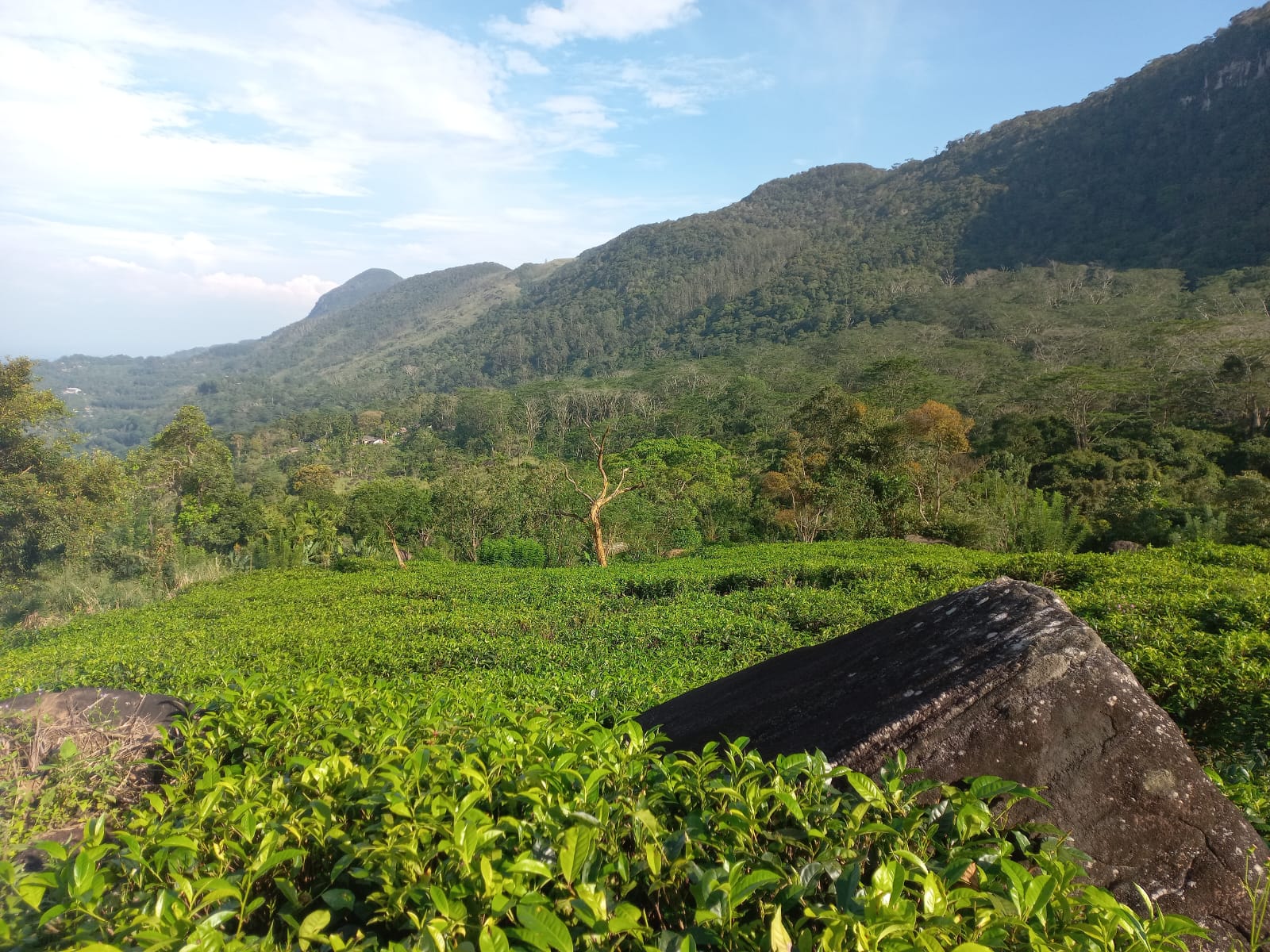 Land for Sale Rakwana