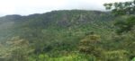 Land for Sale Rakwana