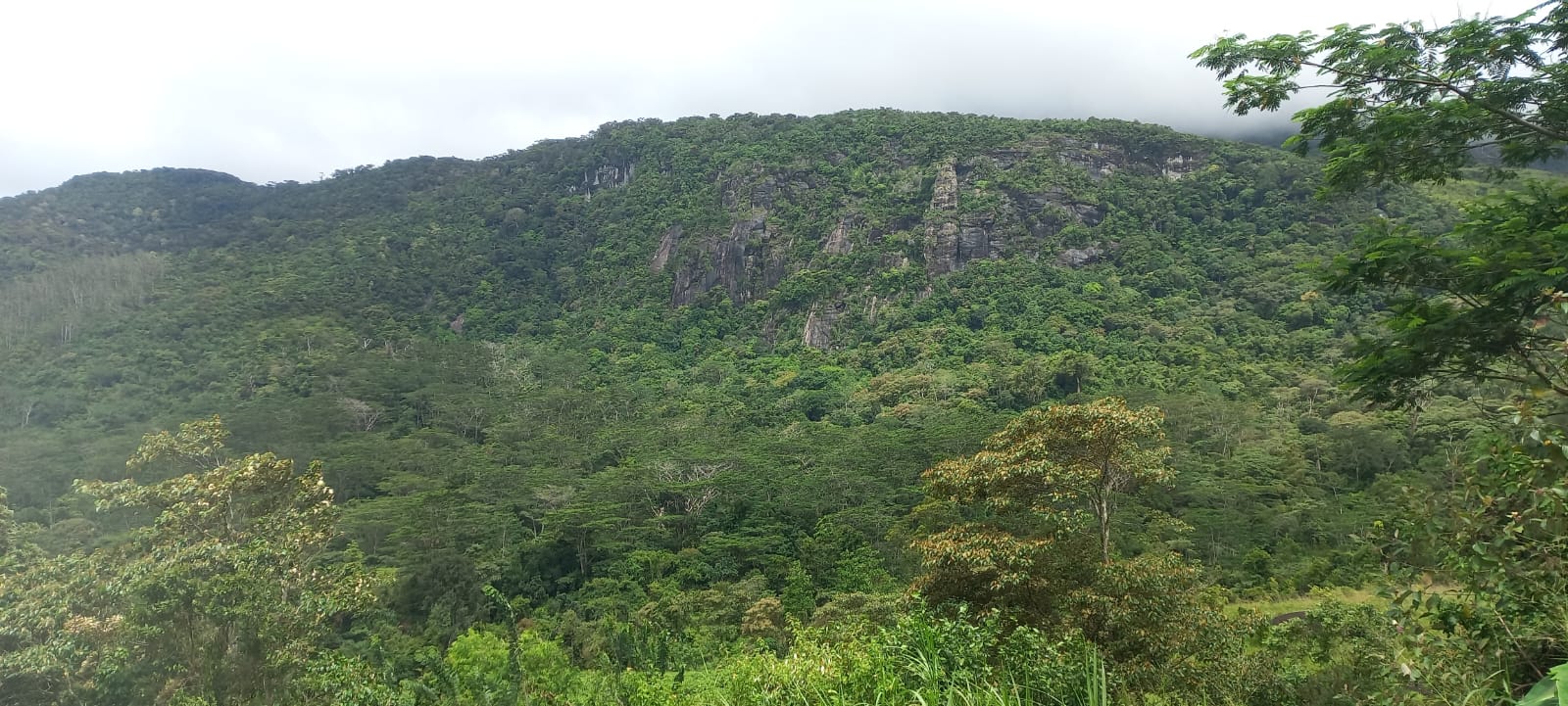Land for Sale Rakwana