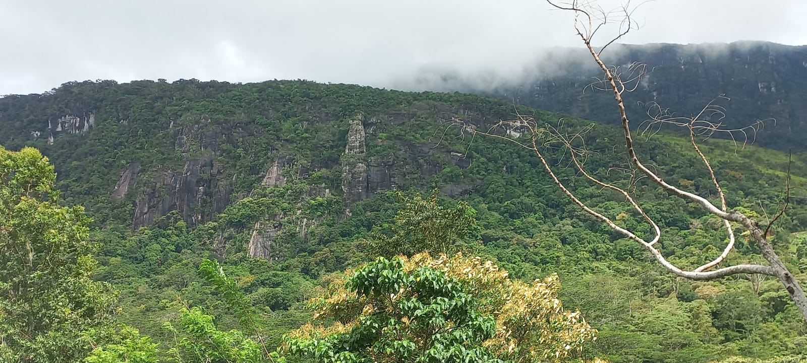 Land for Sale Rakwana