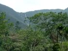 Land for Sale Rakwana