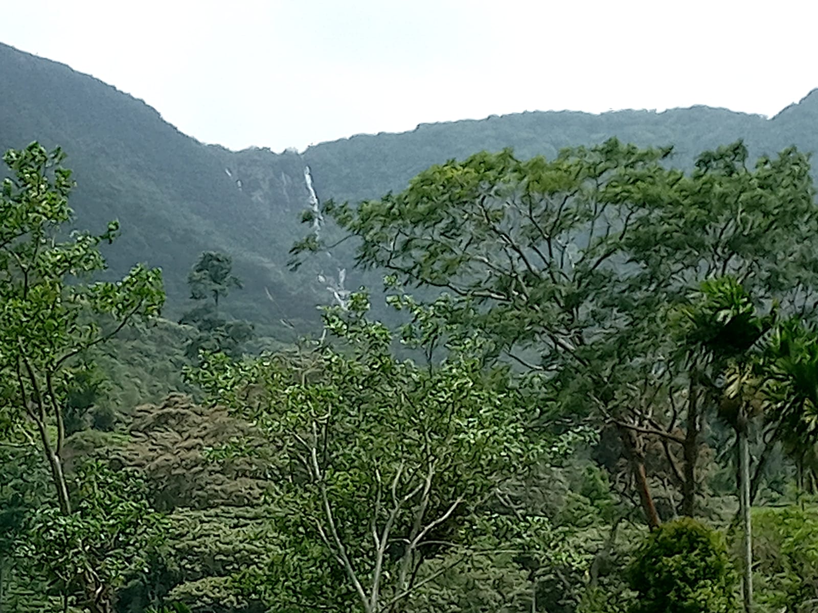 Land for Sale Rakwana