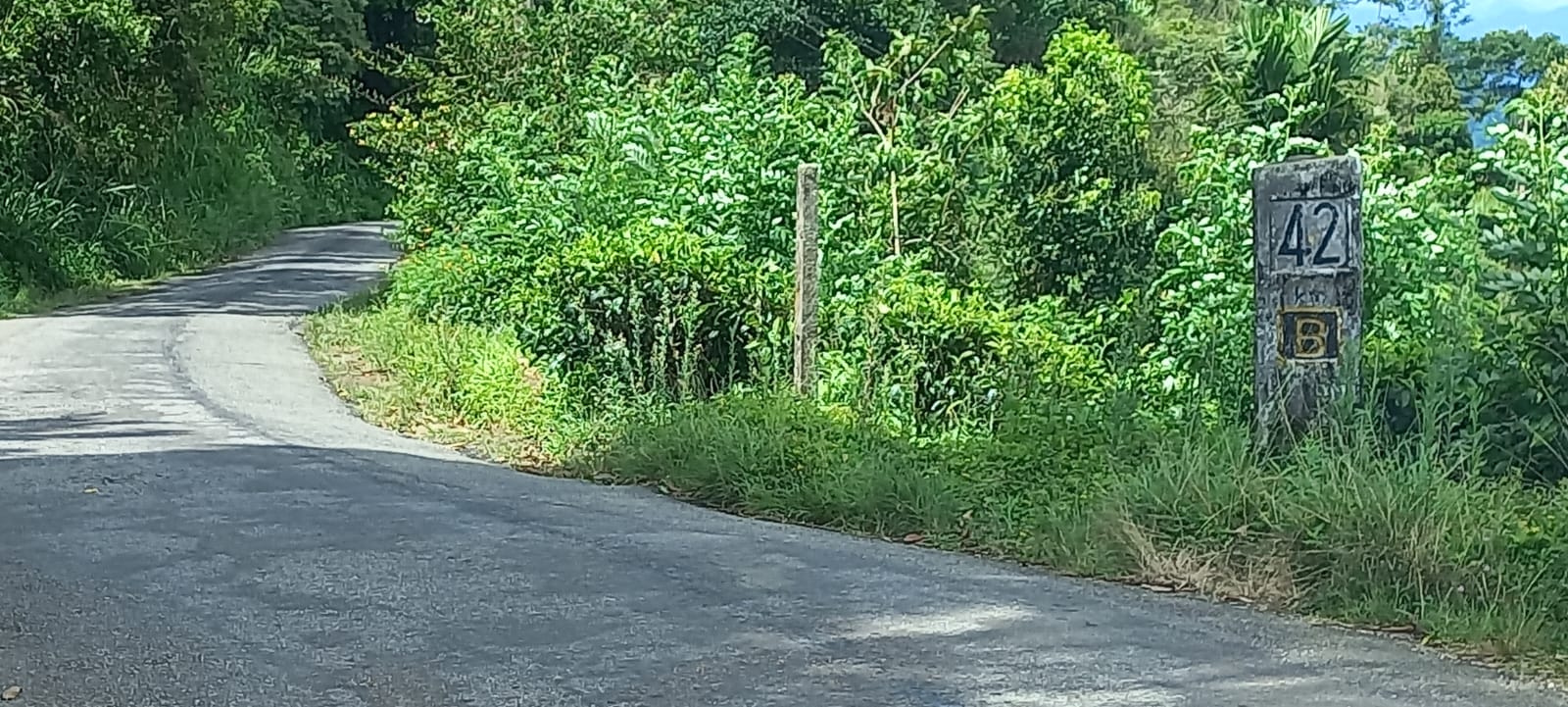 Land for Sale Rakwana