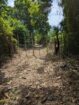 Land for Sale in Marakolliya
