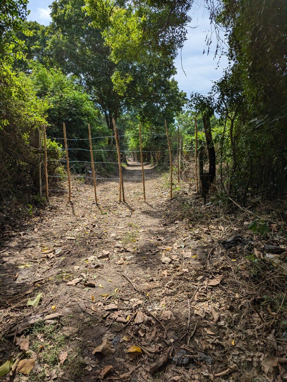 Land for Sale in Marakolliya