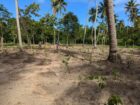 Land for Sale in Marakolliya