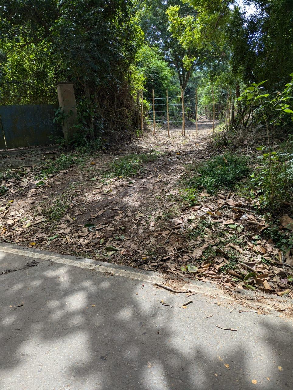 Land for Sale in Marakolliya