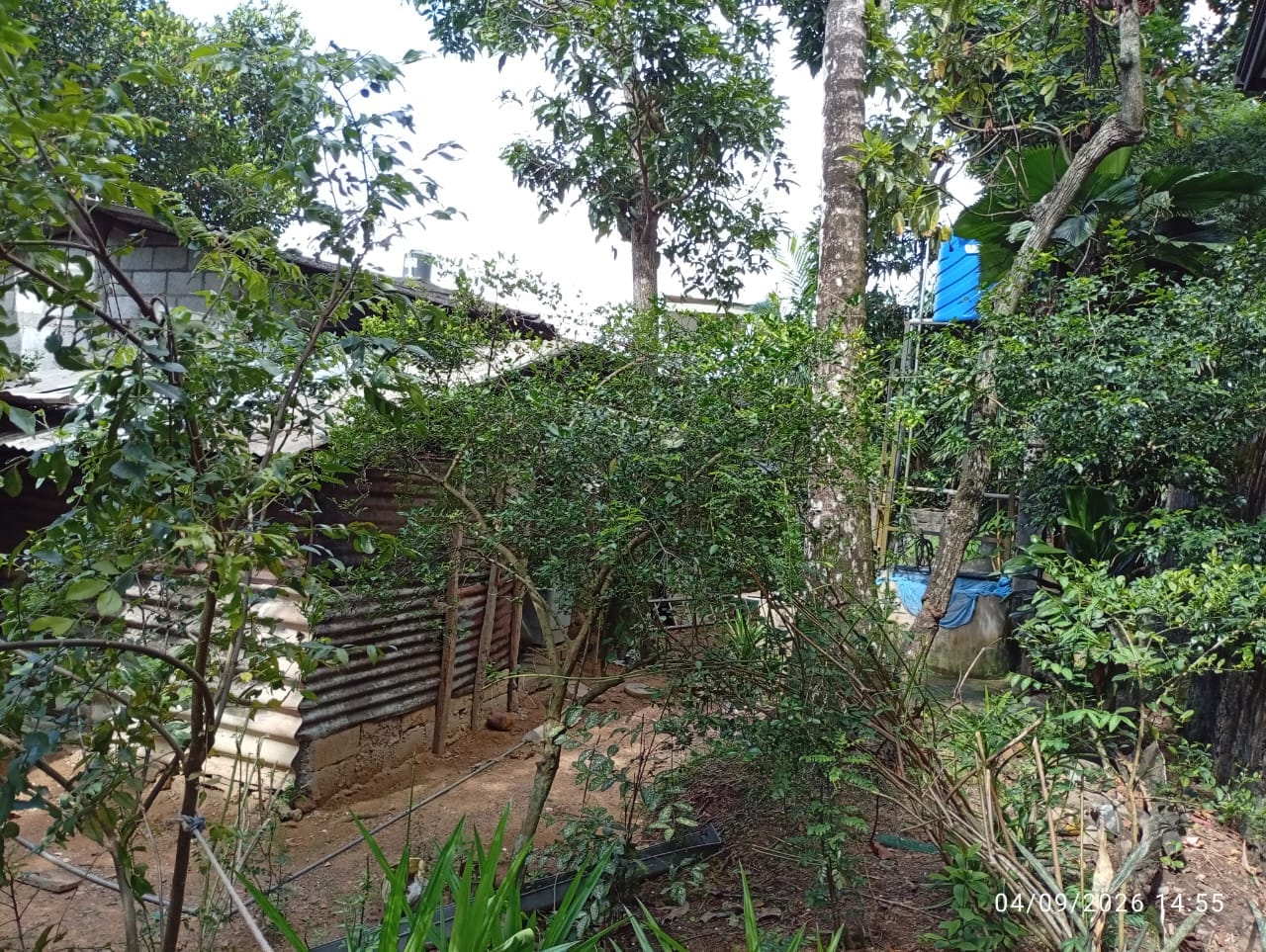 Land For Sale In Pannipitiya