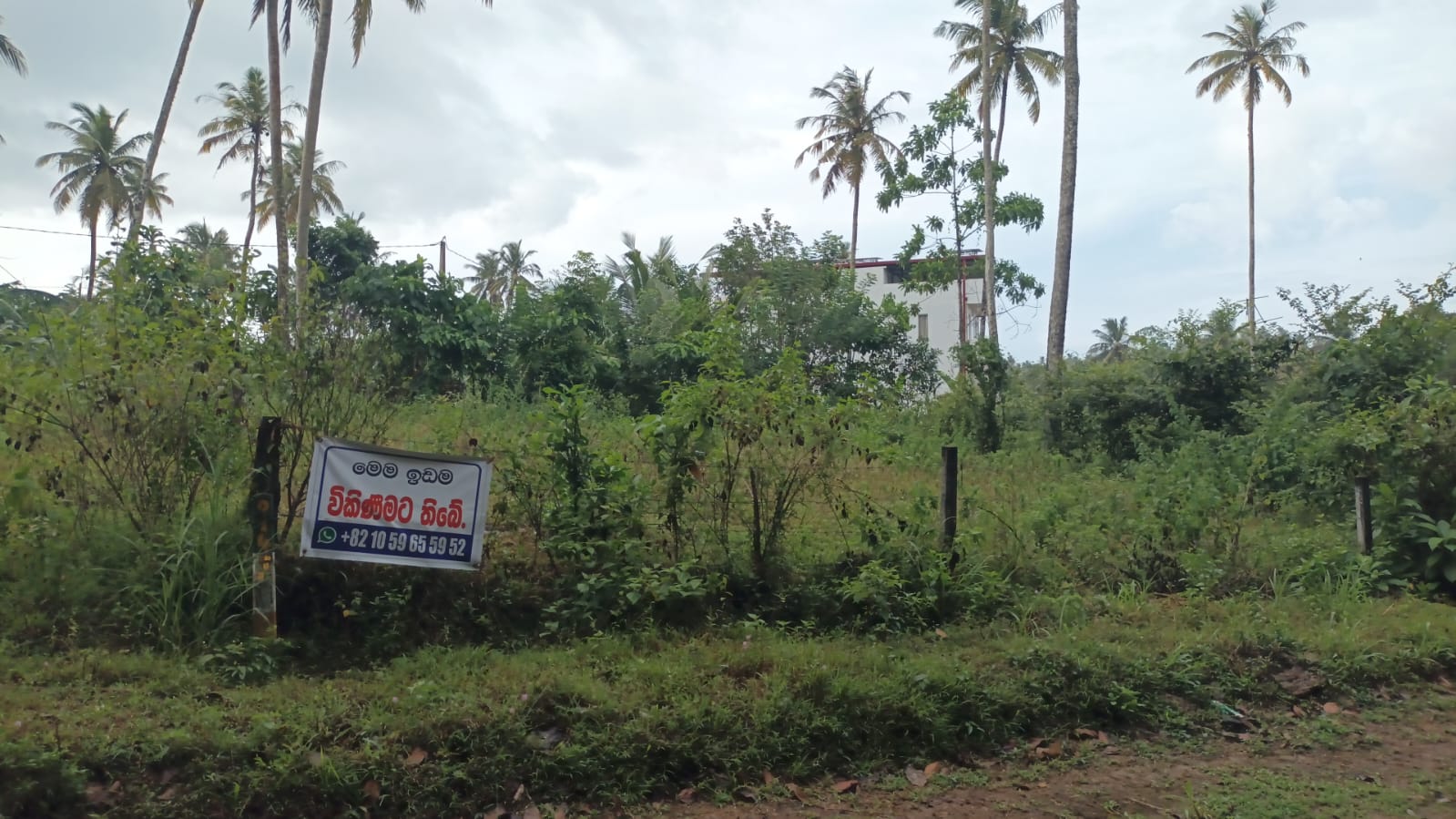 Land for Sale in Kamburugamuwa